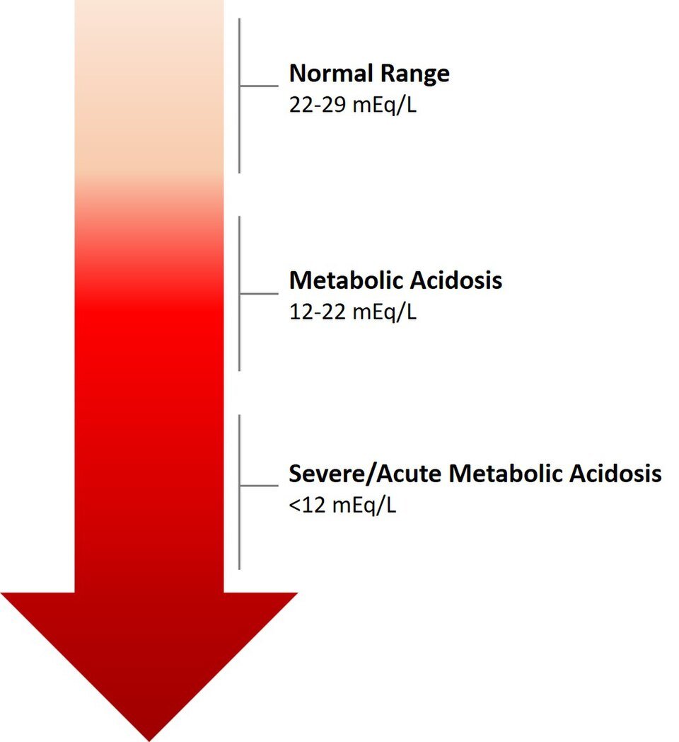 Treatment for Electrolyte and Fluid Imbalances