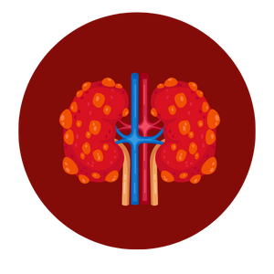 Kidney transplant in mumbai