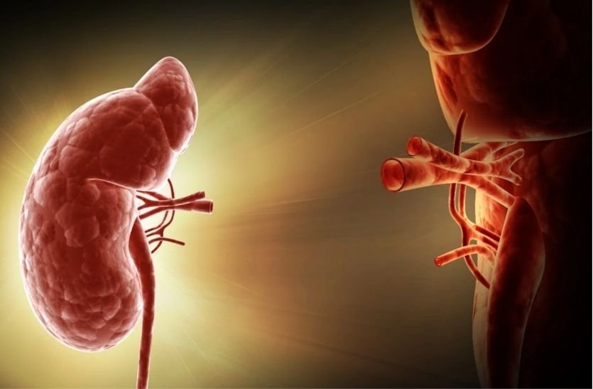 Kidney Transplant in Mumbai