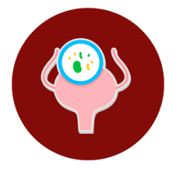 Treatment for urinary tract disorders