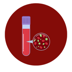 Treatment for acute kidney injury